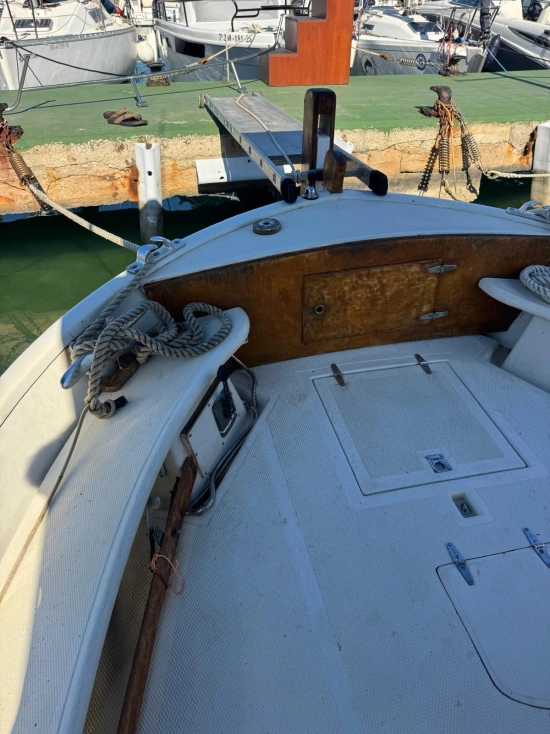Copino 44 usata in vendita