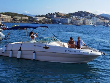 Sea Ray Sundeck 240 de segunda mano en venta