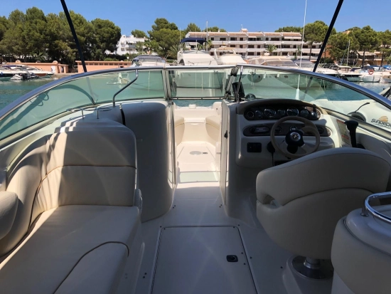 Sea Ray Sundeck 240 usado à venda