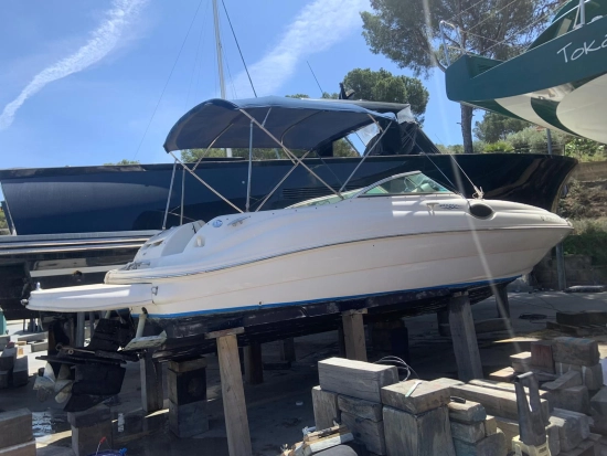 Sea Ray Sundeck 240 usado à venda