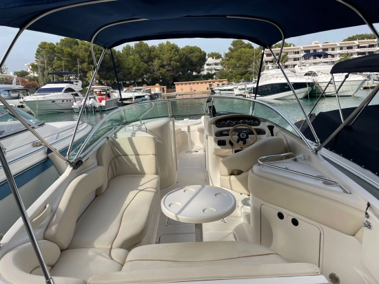 Sea Ray Sundeck 240 usado à venda