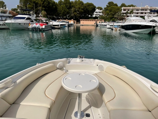 Sea Ray Sundeck 240 usado à venda