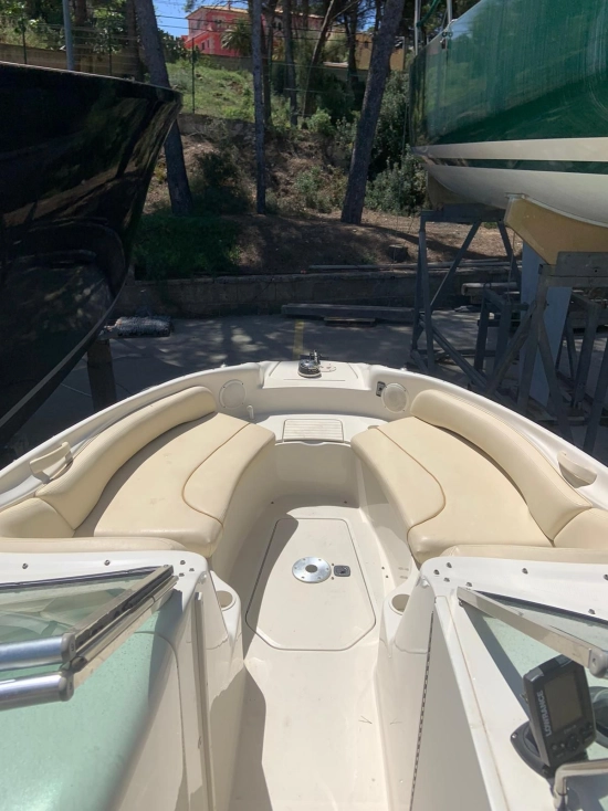 Sea Ray Sundeck 240 usado à venda