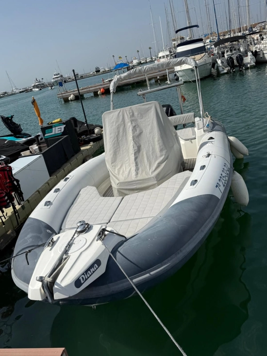 Marlin Boats 790 usado à venda