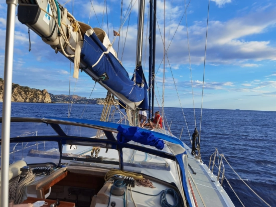 Alubat Cigale 16 usata in vendita