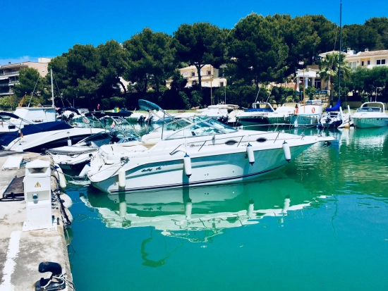 Sea Ray Sundancer 270 de segunda mano en venta