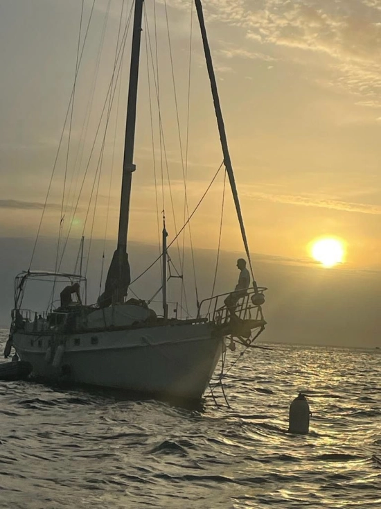 Custom Mc Connel Marine Ltd Custom Pilot Cutter usado à venda