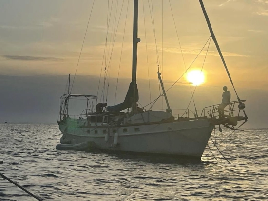 Custom Mc Connel Marine Ltd Custom Pilot Cutter usado à venda