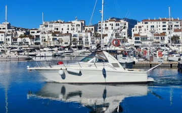 Sea Ray 340 Amberjack usata in vendita