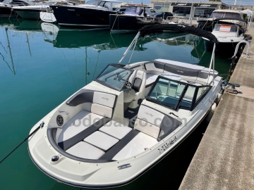 Sea Ray SPX 21 de segunda mano en venta