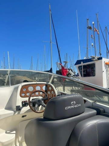 Sea Ray SLX 290 usata in vendita