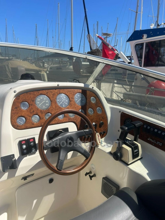 Sea Ray SLX 290 usata in vendita