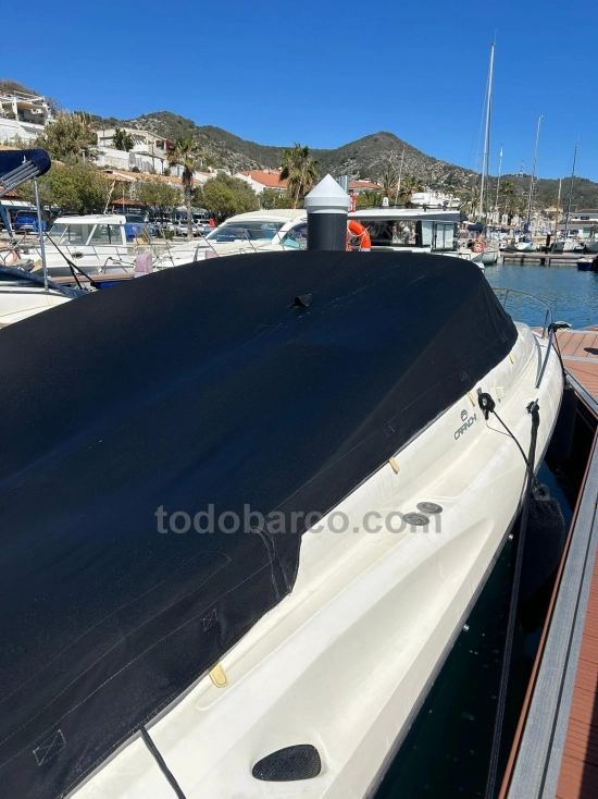 Sea Ray SLX 290 usata in vendita