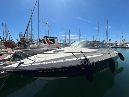 Sea Ray SLX 290 usata in vendita