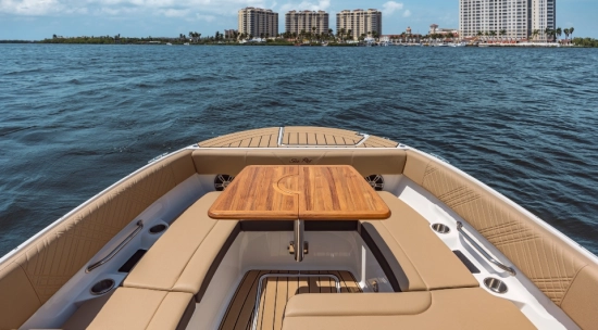 Sea Ray SDX 270 nuova in vendita