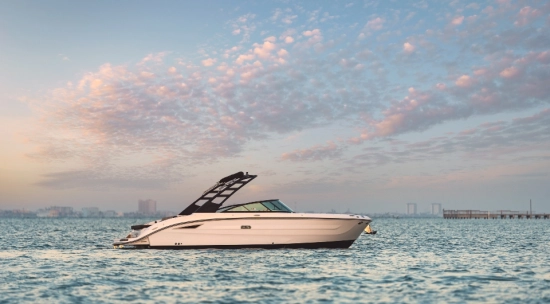 Sea Ray SDX 270 nuova in vendita