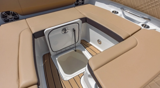 Sea Ray SDX 270 nuova in vendita