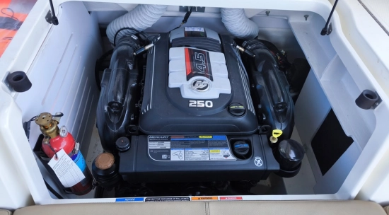 Sea Ray SPX 210 de segunda mano en venta