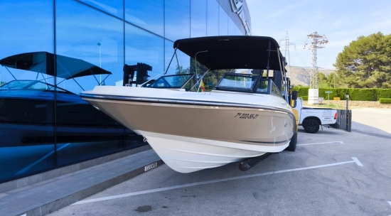 Sea Ray SPX 210 de segunda mano en venta