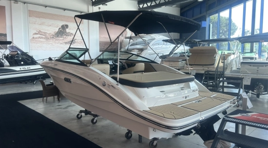 Sea Ray SPX 190 usado à venda