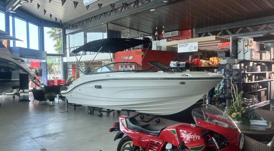 Sea Ray SPX 190 usado à venda
