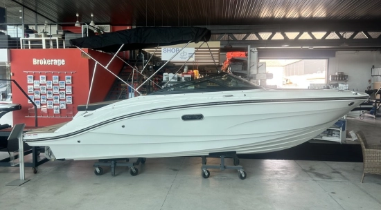 Sea Ray SPX 190 usado à venda