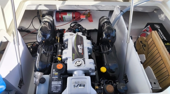 Sea Ray SDX 290 nuevo en venta
