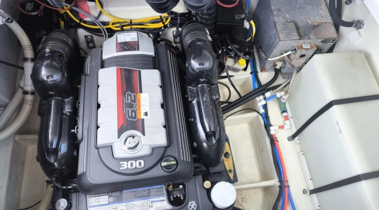 Four Winns V255 usata in vendita
