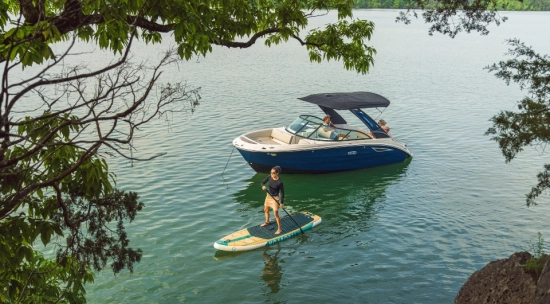 Sea Ray SDX 230 nuevo en venta