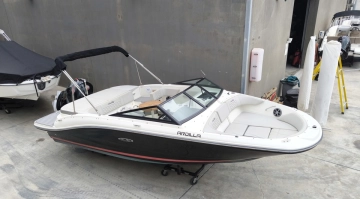 Sea Ray SPX 190 OB de segunda mano en venta