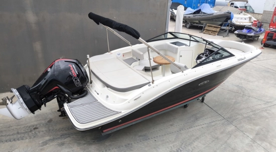 Sea Ray SPX 190 OB usado à venda
