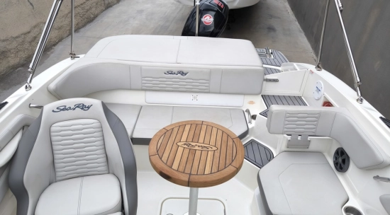 Sea Ray SPX 190 OB usado à venda