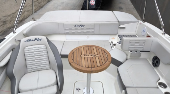 Sea Ray SPX 190 OB usado à venda