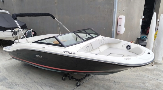 Sea Ray SPX 190 OB usado à venda