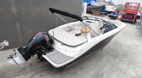 Sea Ray SPX 190 OB usado à venda