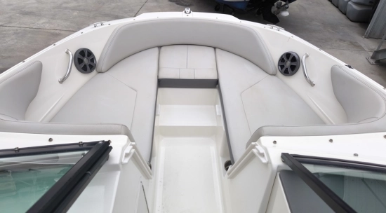 Sea Ray SPX 190 OB usado à venda