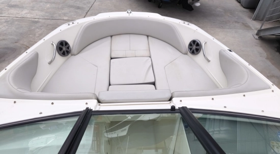 Sea Ray SPX 190 OB usado à venda