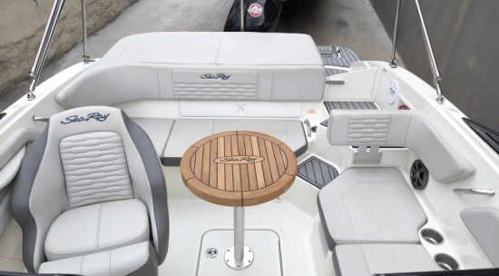 Sea Ray SPX 190 OB usado à venda