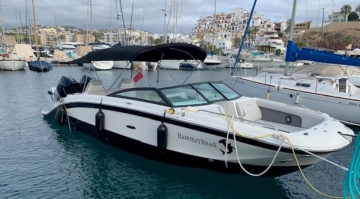 Sea Ray SDX 290 OB de segunda mano en venta