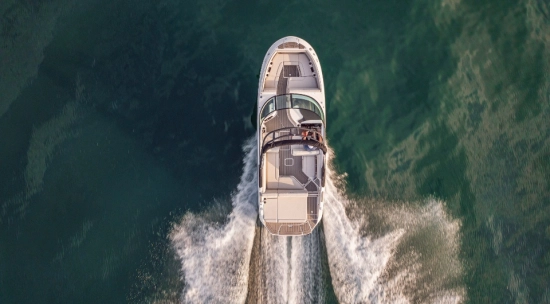 Sea Ray SDX 250 nuevo en venta