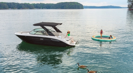Sea Ray SDX 250 nuevo en venta