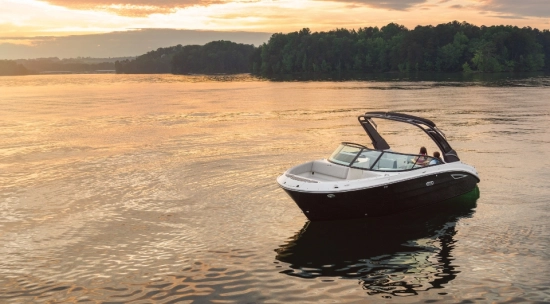 Sea Ray SDX 250 nuevo en venta