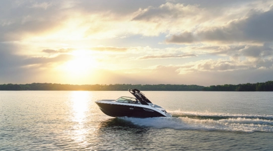 Sea Ray SDX 250 nuevo en venta