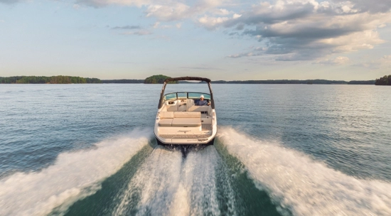 Sea Ray SDX 250 nuevo en venta