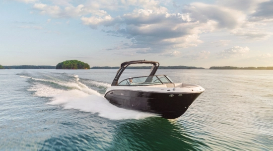 Sea Ray SDX 250 nuevo en venta