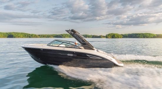 Sea Ray SDX 250 nuevo en venta