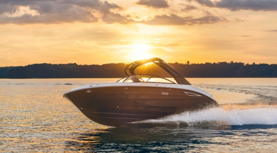Sea Ray SDX 250 nuevo en venta