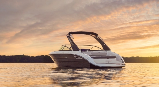Sea Ray SDX 250 nuevo en venta