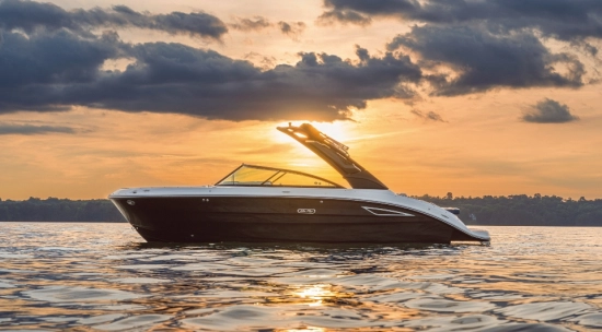 Sea Ray SDX 250 nuevo en venta