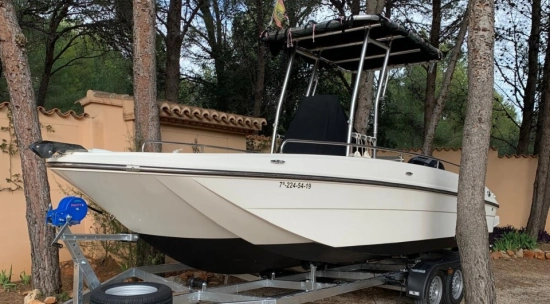 Bayliner ELEMENT CC7 usata in vendita